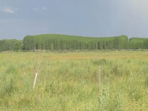 Campo en Venta en La Primavera, Tunuyán