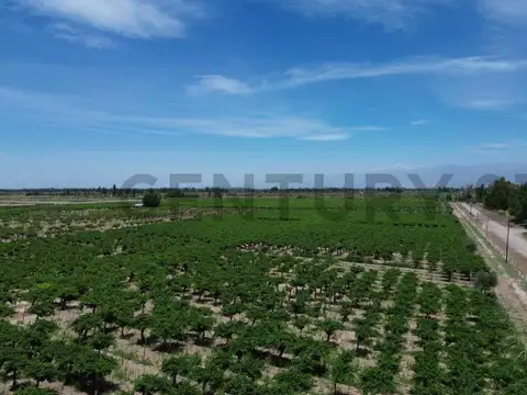 Campo en Venta en Tres De Mayo, Lavalle Villa Tulumaya