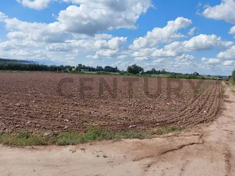 Campo en Venta en Rodeo del Medio, Maipú