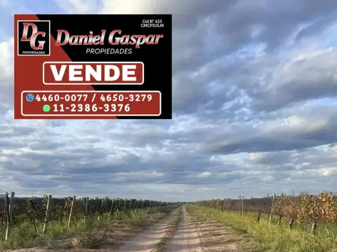 Campo en Venta en Los Otoyanes, Junín