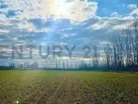 Campo en Venta en La Primavera, Tunuyán