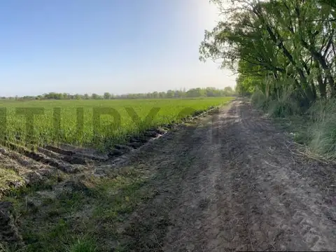 Campo en Venta en San Carlos, Mendoza
