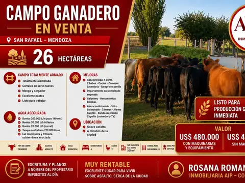 Campo en Venta en San Rafael, Mendoza
