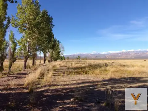 Campo en Venta en Uspallata, Las Heras
