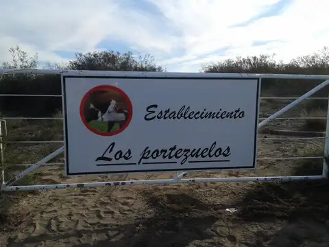 Campo en Venta en San Rafael, Mendoza