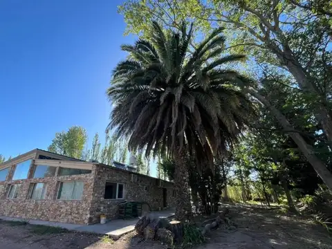 Campo en Venta en Rama Caida, San Rafael
