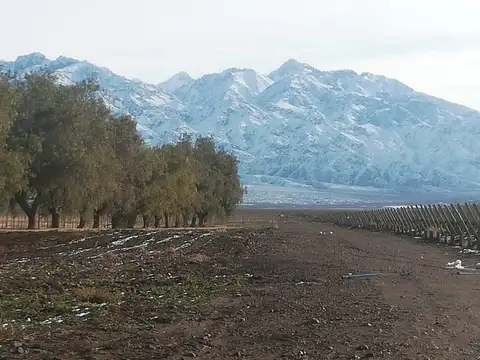 Campo en Venta en Vista Flores, Tunuyán