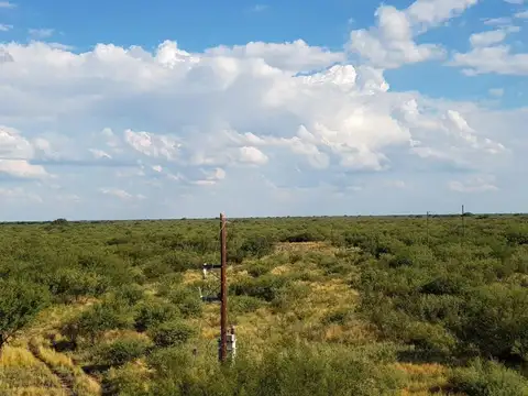 Campo en Venta en General Alvear, Mendoza