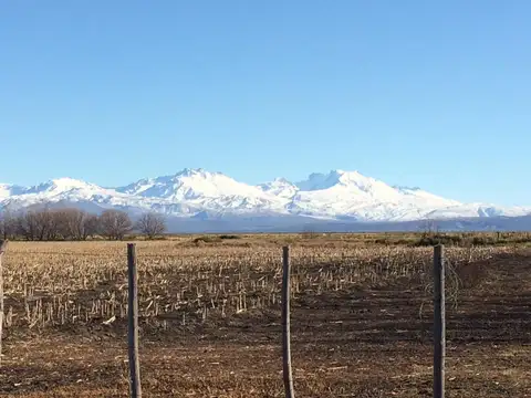 Campo en Venta en La Junta, Malargüe