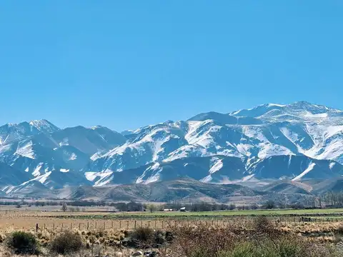 Campo en Venta en La Carrera, Tupungato