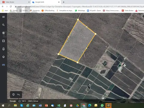 Campo en Venta en Tupungato, Mendoza