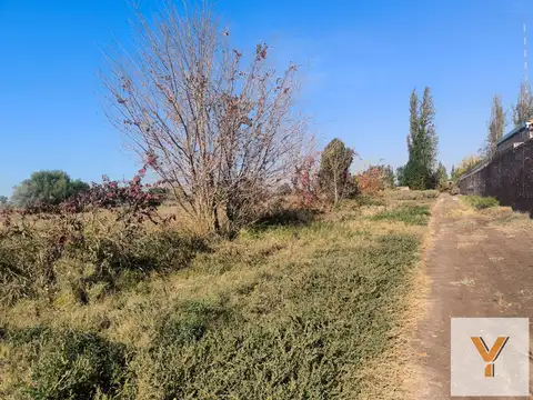 Campo en Venta en San Jose de Guaymallen, Guaymallén