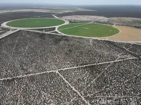 Campo en Venta en Rivadavia, Mendoza