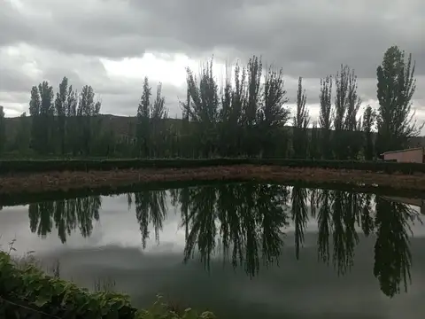 Campo en Venta en Perdriel, Luján de Cuyo