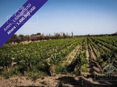 Campo en Venta en Alto Verde, San Martín