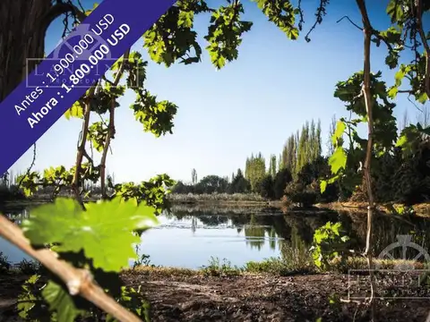 Campo en Venta en Alto Verde, San Martín