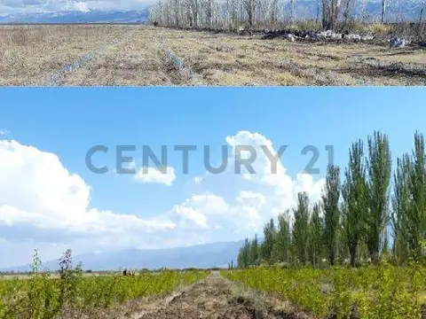 Campo en Venta en Vista Flores, Tunuyán