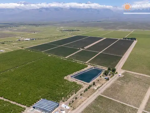 Campo en Venta en Estancia los Chacayes, Tunuyán