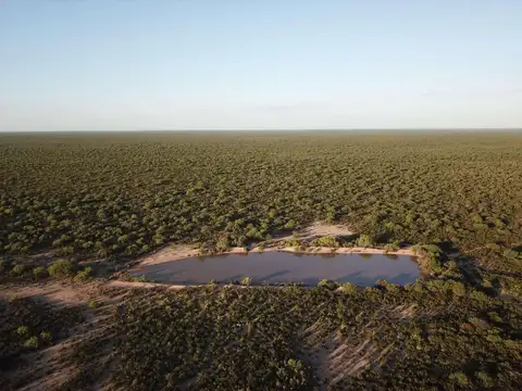 Campo en Venta en Santa Rosa, Mendoza