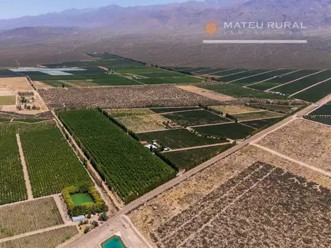 Campo en Venta en El Cepillo, San Carlos