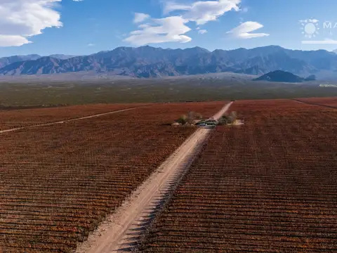 Campo en Venta en El Cepillo, San Carlos