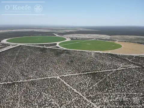 Campo en Venta en Rivadavia, Mendoza