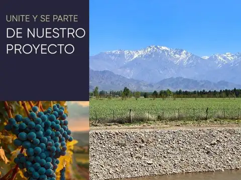Departamento en Venta en Lujan de Cuyo, Luján de Cuyo