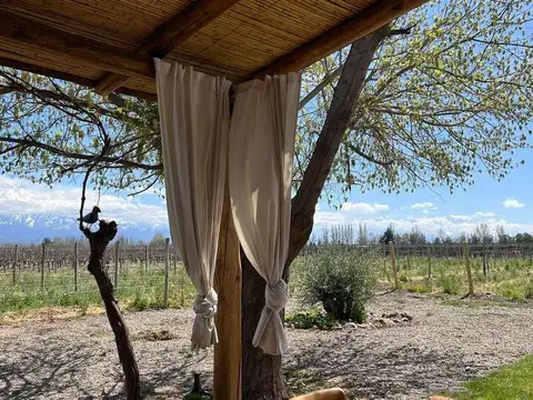 Negocio especial en Venta en Tunuyan, Tunuyán