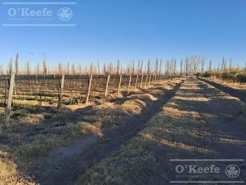 Negocio especial en Venta en San Rafael, Mendoza