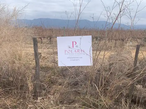 Negocio especial en Venta en Tunuyan, Tunuyán