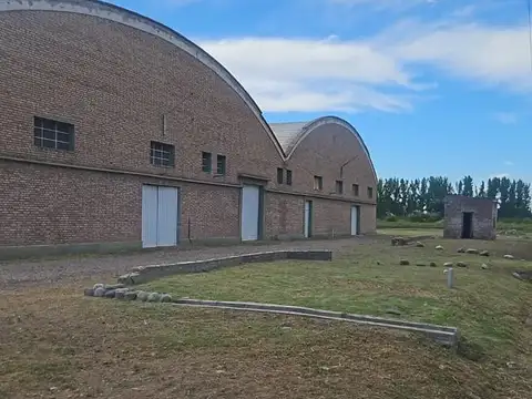 Galpón en Venta en General Alvear, Mendoza