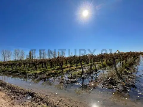 Quinta en Venta en La Pega, Lavalle