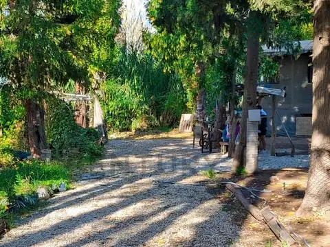 Quinta en Venta en Las Compuertas, Lujan de Cuyo