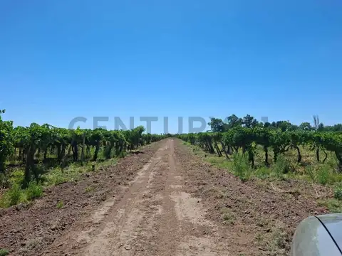Quinta en Venta en La Palmera, Lavalle