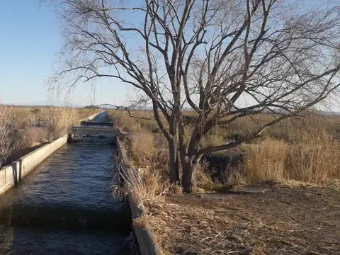 Quinta en Venta en San Rafael, Mendoza
