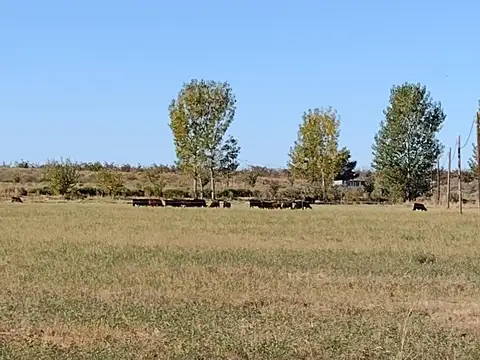 Quinta en Venta en San Rafael, Mendoza