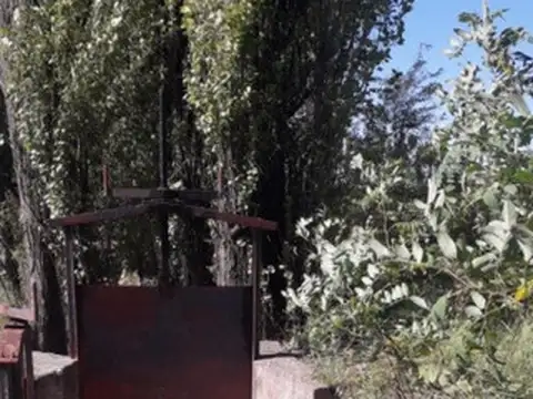 Quinta en Venta en San Rafael, Mendoza