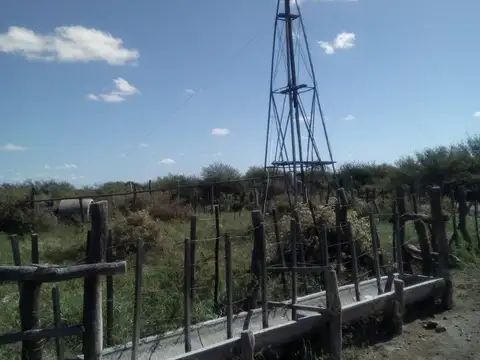 Quinta en Venta en General Alvear, Mendoza