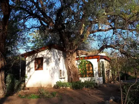 Casa en Alquiler Temporal en San Marcos Sierra, Cruz del Eje