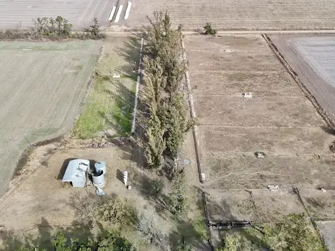 Campo en Alquiler en Cruz Alta, Marcos Juárez
