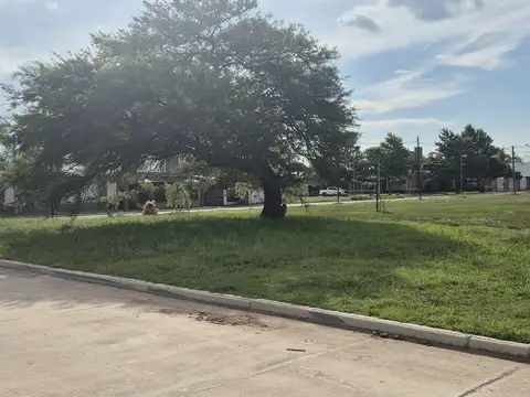Terreno en Venta en Oliva, Tercero Arriba