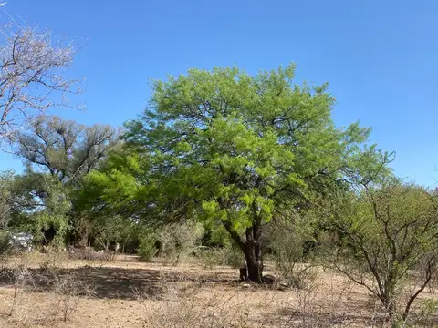 Terreno en Venta en Corralito San Javier, San Javier