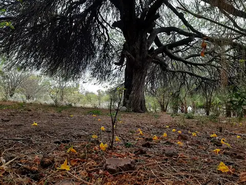 Terreno en Venta en San Marcos Sierra, Cruz del Eje