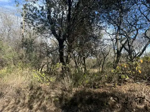 Terreno en Venta en Loma Bola, San Javier