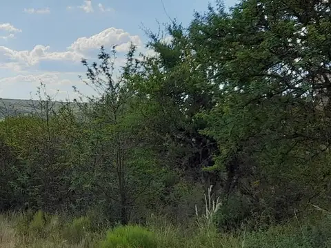 Terreno en Venta en San Lorenzo, San Alberto