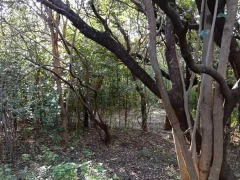 Terreno en Venta en Las Chacras, San Javier