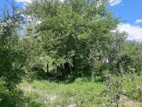 Terreno en Venta en Capilla del Monte, Punilla
