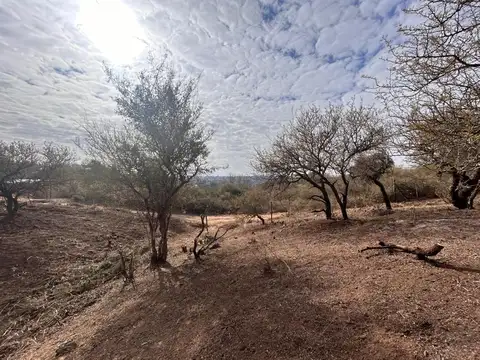 Terreno en Venta en Villa Santa Cruz del Lago, Punilla