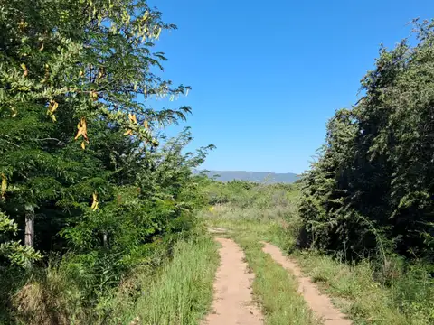 Terreno en Venta en Los Reartes, Calamuchita