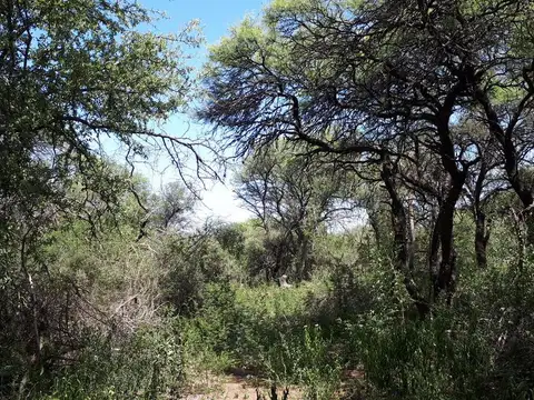 Terreno en Venta en San Marcos Sierra, Cruz del Eje